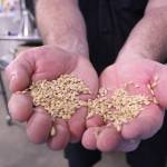 Poulsbo brewery makes beer for California wildfire relief efforts
