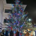 A large crowd gathers in front of City Hall to listen to holiday music from the South Kitsap High School choir and other groups from the area, and watch as honorary tree lighter Bobbie Stewart flips the switch on the City of Port Orchards community Christmas tree. (Bob Smith | Kitsap Daily News)
