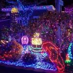 Kingston Cove Christmas lights up the waterfront