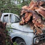 Shattered tree sections manhandled a truck parked next to a home in the Harris Court neighborhood, which was hit hard by Tuesdays strong EF2 tornado. (Robert Zollna | Kitsap Daily News)