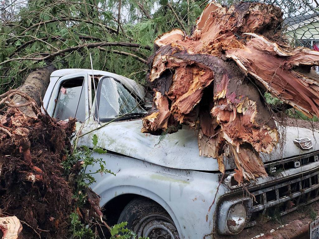 Shattered tree sections manhandled a truck parked next to a home in the Harris Court neighborhood, which was hit hard by Tuesdays strong EF2 tornado. (Robert Zollna | Kitsap Daily News)