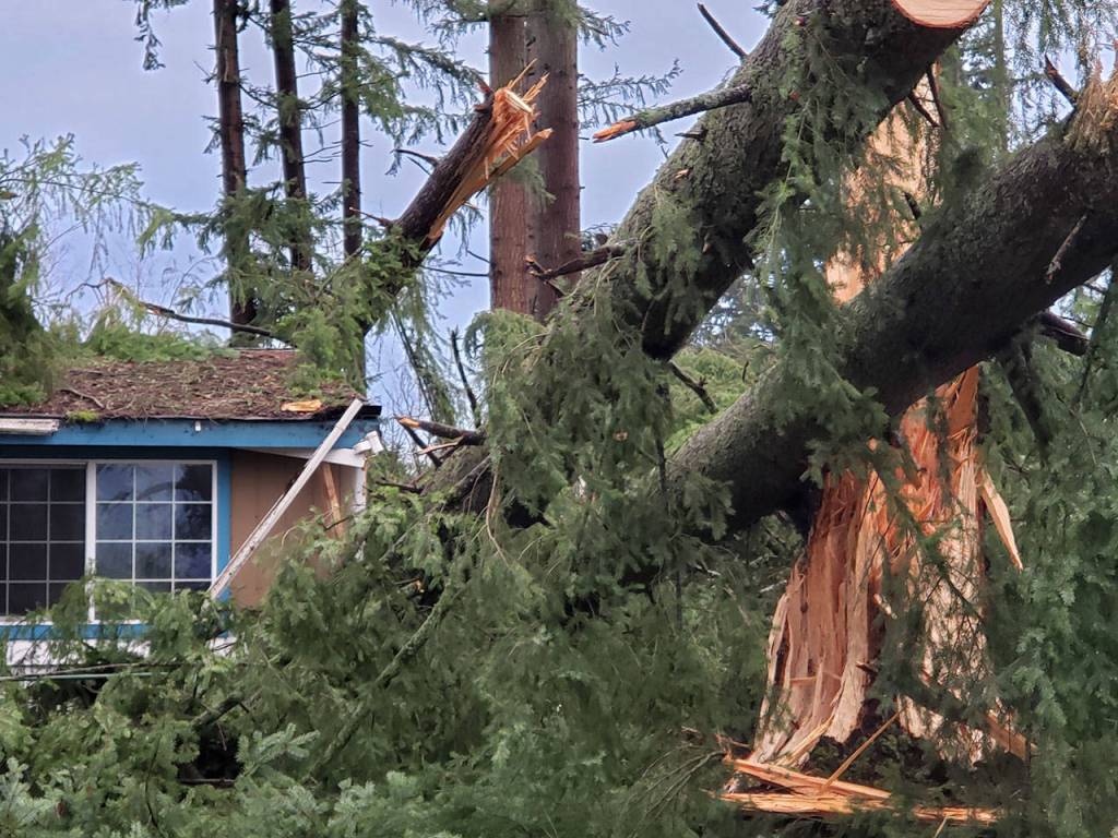Contractors meet with a resident in the Harris Court neighborhood to discuss removal of snapped tree branches from a severely damaged home as a result of a strong EF2 tornado Tuesday afternoon.