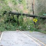Lemolo Shore Drive at Skookum Road NE was blocked by downed trees and power lines after the Dec. 20 windstorm. (Mark Krulish/Kitsap News Group)
