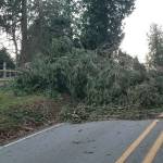 After the storm: Power still off, roads remain closed in parts of Kitsap