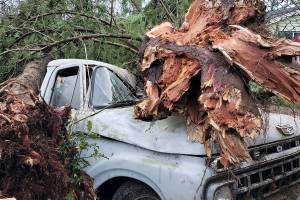 Recovery from tornado continues