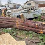 Ryan Kurts contracted with a Graham tree removal contractor for $2,180 to cut down broken tree trunks and limbs on his property into manageable pieces. Kurts, however, said the contractor failed to finish the job and left a huge tree trunk uncut. (Robert Zollna | Kitsap Daily News)