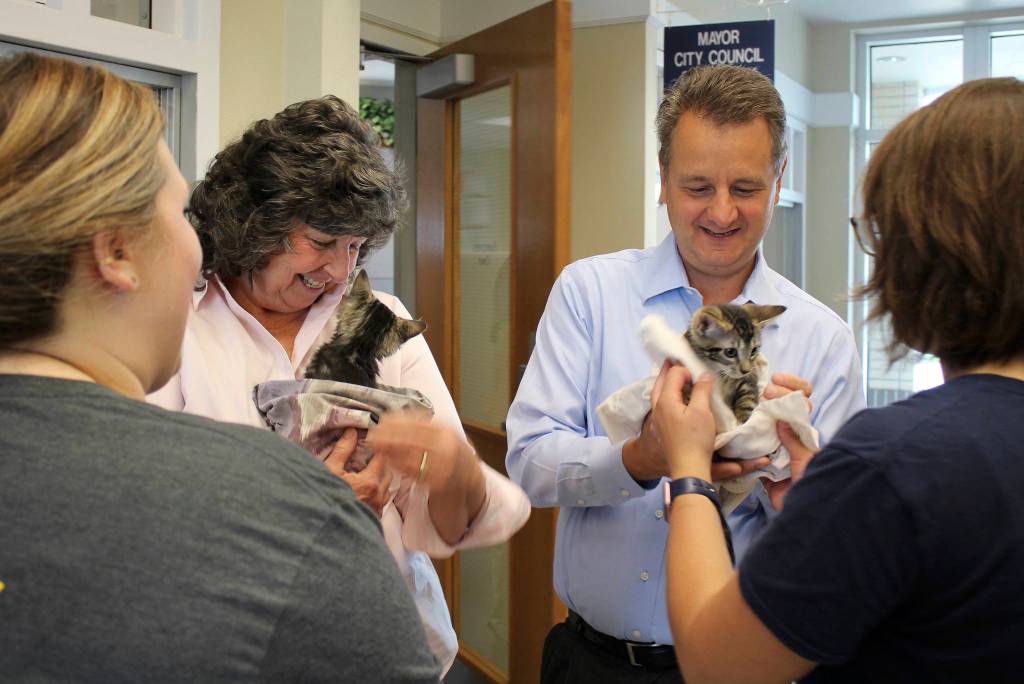 Photo favorites of 2018