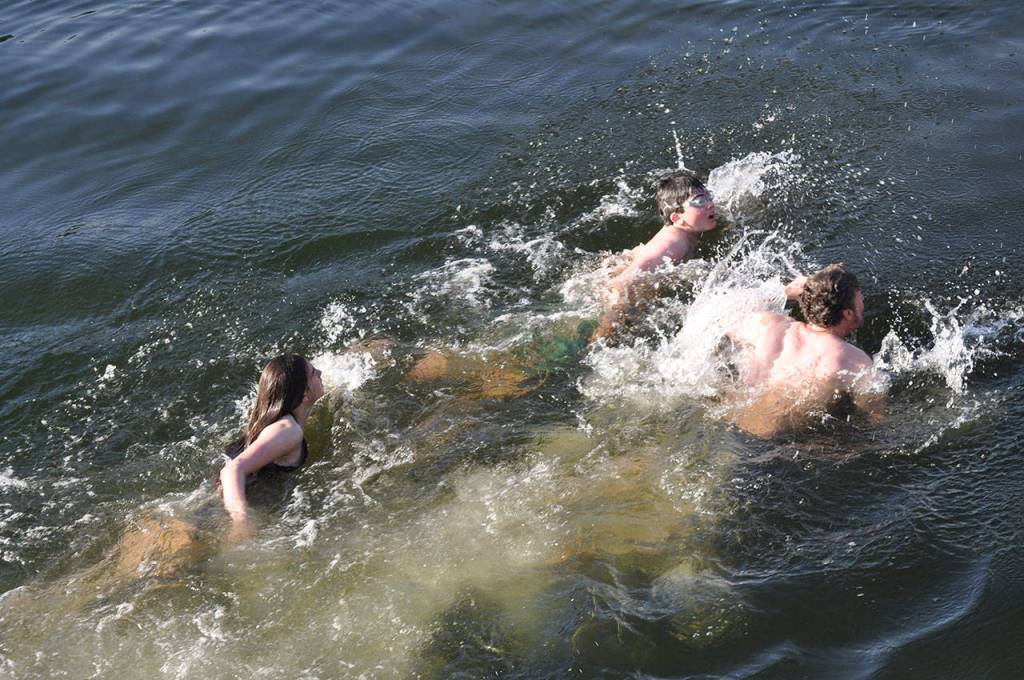 Gallery | Olalla Polar Bear Plunge 2019