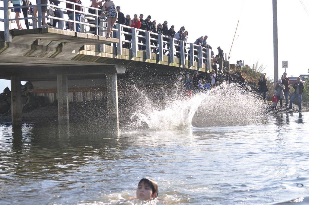 Gallery | Olalla Polar Bear Plunge 2019