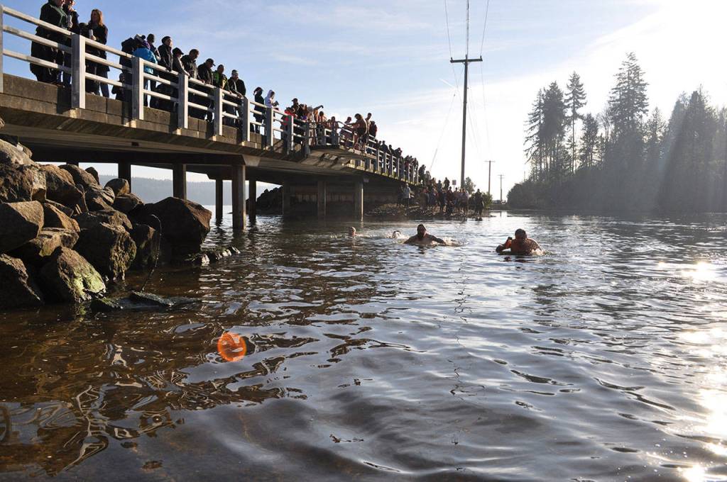 Gallery | Olalla Polar Bear Plunge 2019
