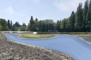Harper Estuary restoration moving to a second-phase finish