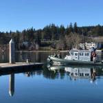 Police search for missing girl in Silverdale