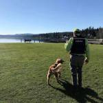 UPDATE: Search continues for missing teenager