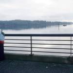 Volunteers flock to Silverdale Waterfront Park in search of missing 17-year-old