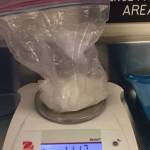 Four felony drug arrests in two days for busy Bremerton cops