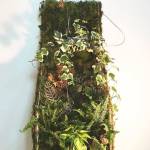 A shelf designed by Melicor for a school assignment to build a hidden structure. (John Melicor)