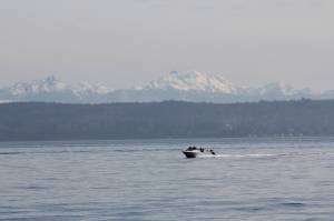 Get your hands dirty in April