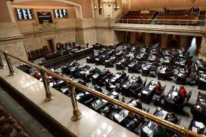 Legislation to confiscate firearms in domestic violence situations moves forward