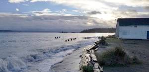 <em>The Kitsap County Parks Department has proposed the construction of a public fishing pier at Hansvilles Norwegian Point Park.</em>Nick Twietmeyer/Kitsap News Group