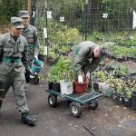 Manchester Library’s annual plant, book sale this weekend