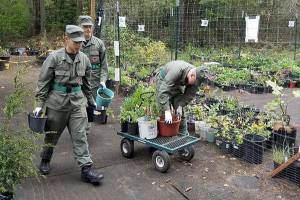 Manchester Library’s annual plant, book sale this weekend