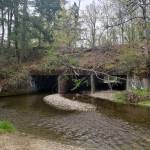 Work to remove fish barrier culvert on Chico Creek begins