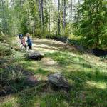 Young helpers clear out brush at McCormick Village Park during Community Service Day on April 27. (Bob Smith | Kitsap Daily News)