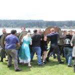 The Vikings are here!