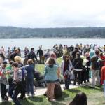 The Vikings are here!