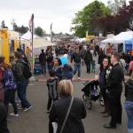 The Vikings are here!