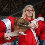 The Vikings are here!