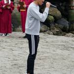 Calling all seagulls!