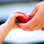 SKSD’s free summer lunch program starts June 24