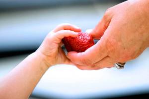 SKSD’s free summer lunch program starts June 24