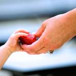 South Kitsap School District will once again offer a free weekday lunch program for South Kitsap children. The program starts on Monday, June 24. (Everett Herald photo)