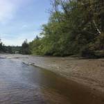 GPC partnership seeks to preserve habitat on Miller Bay