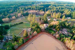 Ecology fines Stetson Heights developer $202,500 for wetlands damage