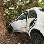 A 31-year-old Poulsbo woman allegedly fell asleep at the wheel and crashed into a tree on eastbound State Route 16 near Mullenix Road earlier this month. She suffered serious injuries while not wearing her seatbelt. (Washington State Patrol photo)