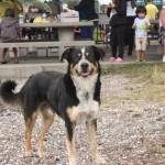 Port Gamble S’Klallam Tribe hosts 2019 Canoe Journey