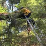 South Kitsap Fire and Rescue crew members use the call to practice technical rescue techniques. (SKFR photo)