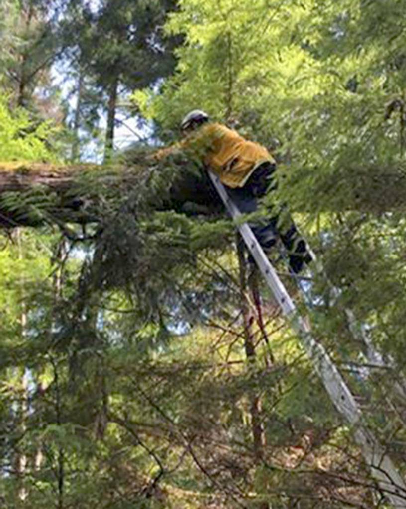 South Kitsap Fire and Rescue crew members use the call to practice technical rescue techniques. (SKFR photo)