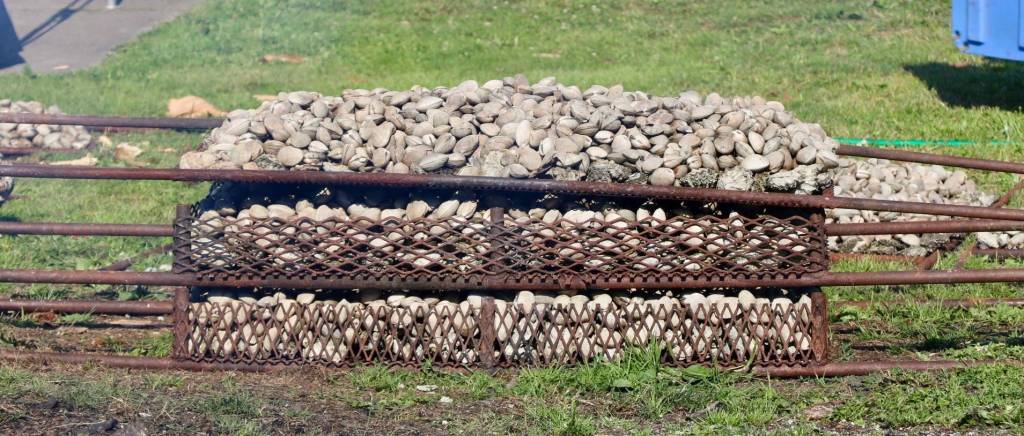 Suquamish celebrates 30th anniversary of revival of canoe culture