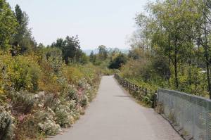 Good beginner hikes in Central Kitsap