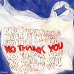County to ban single-use plastic bags in stores