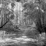 Intermediate hikes in Kitsap County to finish Summer