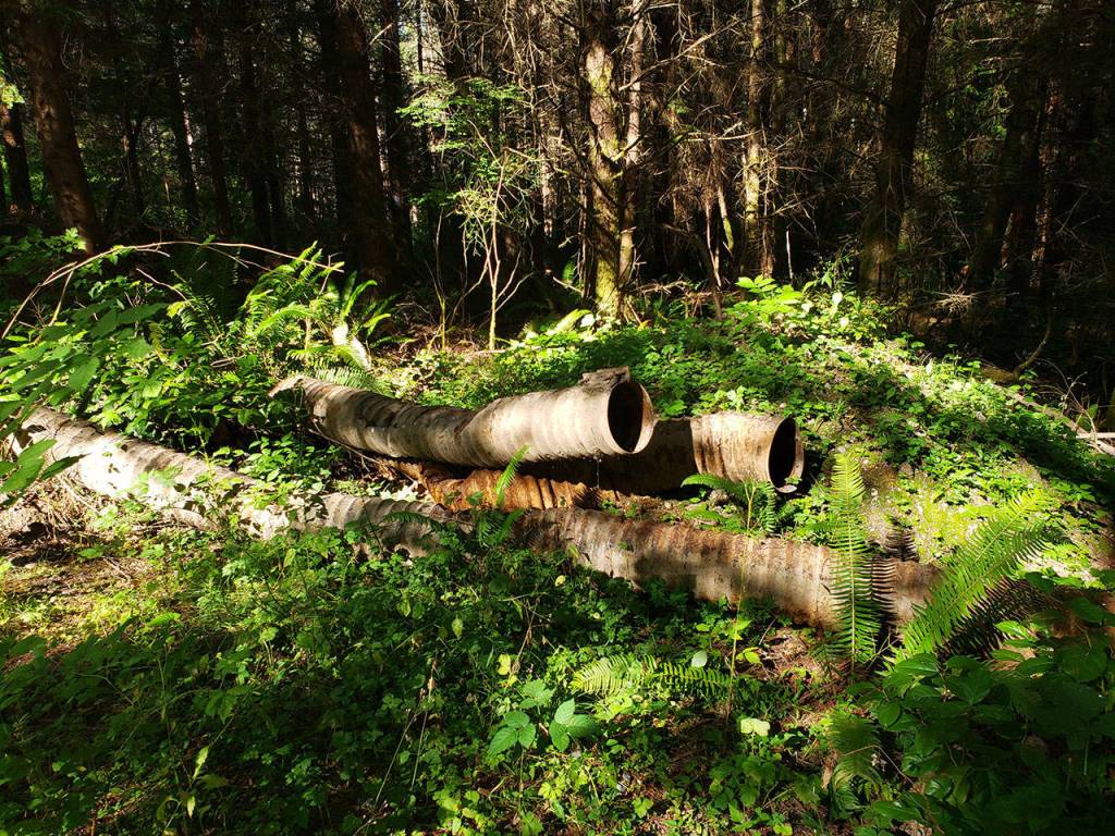 Intermediate hikes in Kitsap County to finish Summer