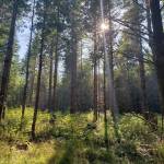 Intermediate hikes in Kitsap County to finish Summer