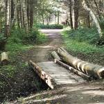 Intermediate hikes in Kitsap County to finish Summer