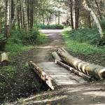 Intermediate hikes in Kitsap County to finish Summer