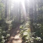 Intermediate hikes in Kitsap County to finish Summer